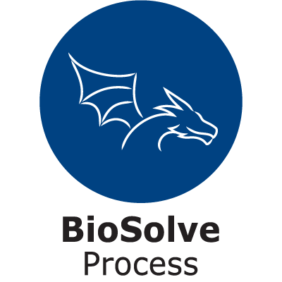 BioSolve Process Logo